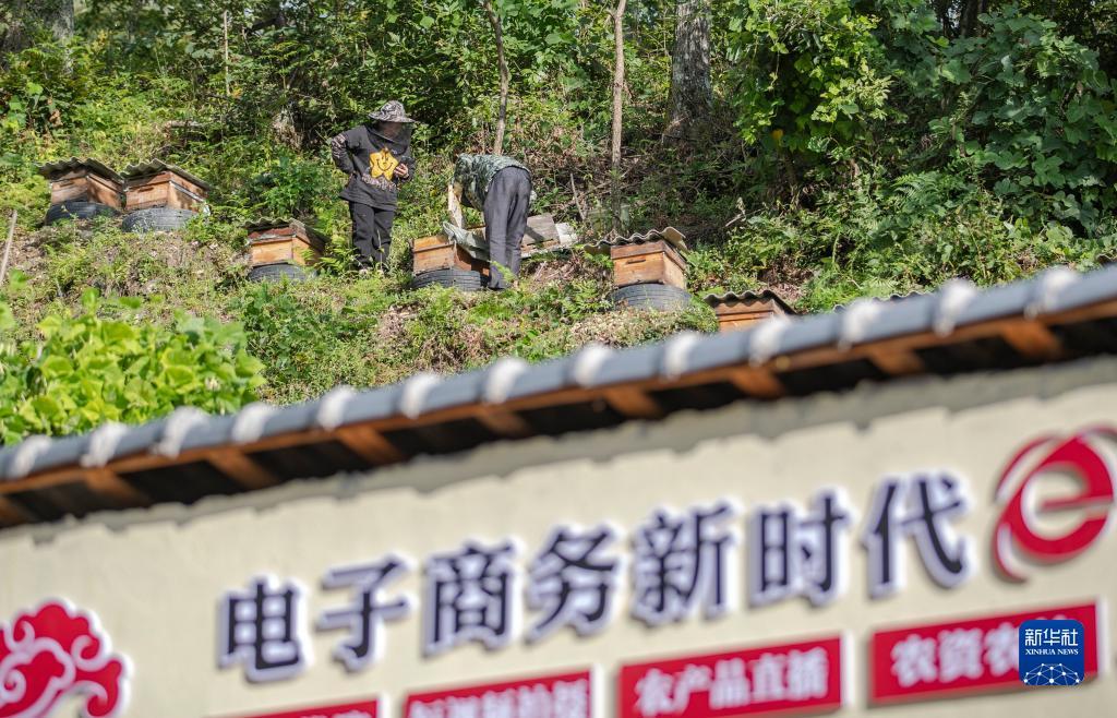 美亚美国官网